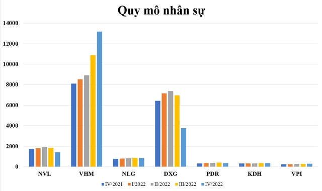 "Bão sa thải" càn quét bất động sản: Đất Xanh cắt giảm hơn 3.000 nhân sự