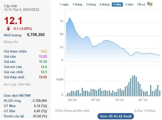 Cổ đông lớn nhất của DIC Corp tiếp tục bán ra hàng triệu cổ phiếu DIG