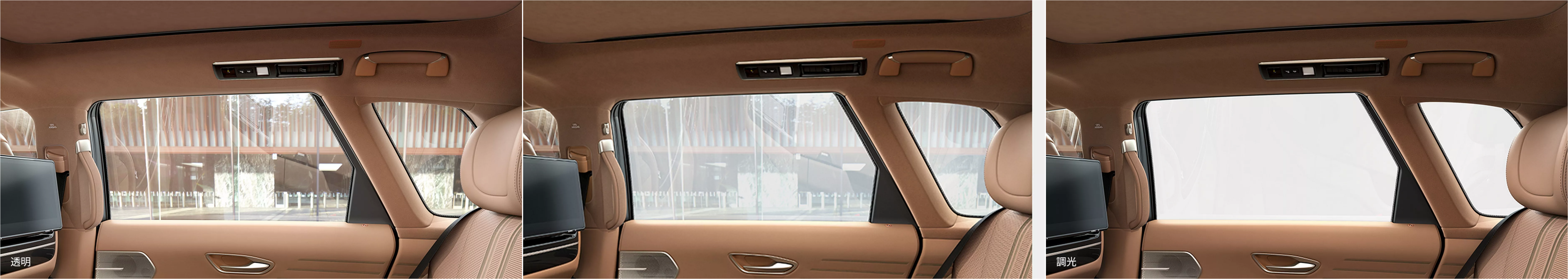 Toyota-Century-SUV-Rear-Windows-1-side.webp