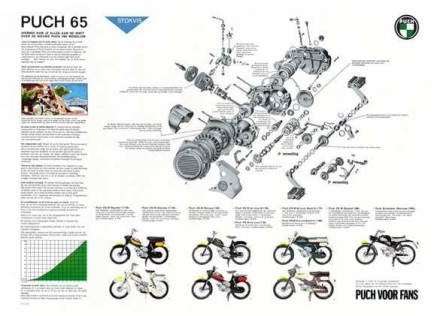 puch_1965_fleet.jpg