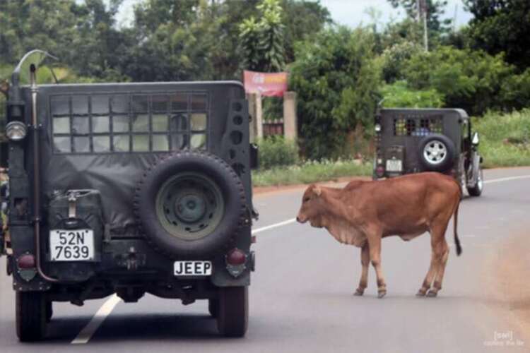 Jeep Off Daknong August 7th