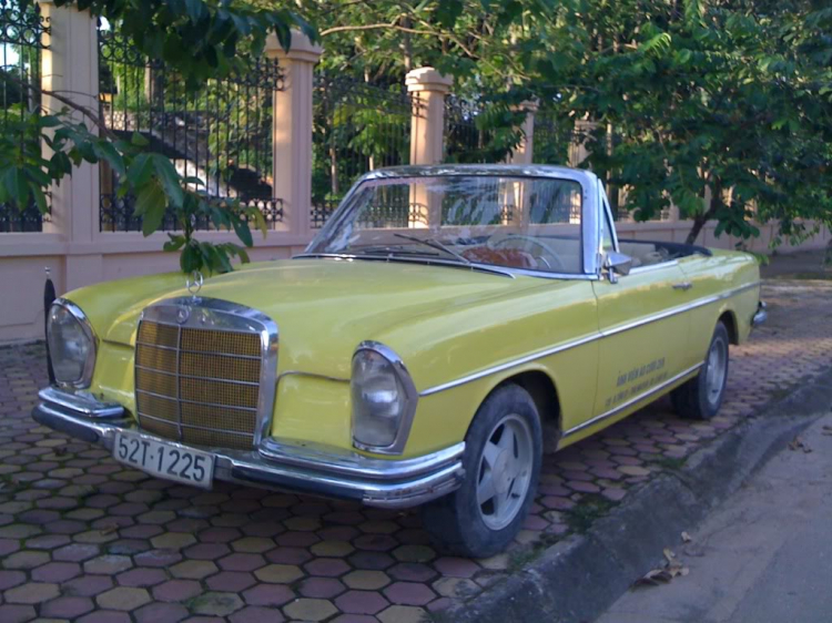 Mercedes Cổ gì vậy ?