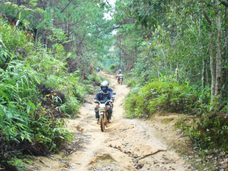 ĐÀ LẠT-ĐƯNG K' NỚ-QUỐC LỘ 27 ( 28/8/2010)! HÀNH TRÌNH CỦA WIN! ĐÀ LẠT-ĐƯNG K' NỚ-QUỐC LỘ 27 ( 28/8/2010)! HÀNH TRÌNH CỦA WIN!