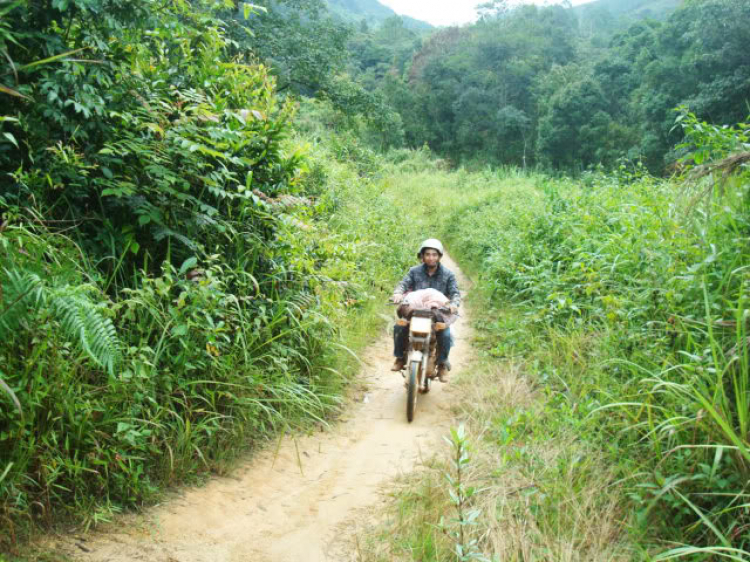 ĐÀ LẠT-ĐƯNG K' NỚ-QUỐC LỘ 27 ( 28/8/2010)! HÀNH TRÌNH CỦA WIN! ĐÀ LẠT-ĐƯNG K' NỚ-QUỐC LỘ 27 ( 28/8/2010)! HÀNH TRÌNH CỦA WIN!