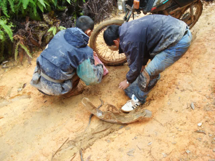 ĐÀ LẠT-ĐƯNG K' NỚ-QUỐC LỘ 27 ( 28/8/2010)! HÀNH TRÌNH CỦA WIN! ĐÀ LẠT-ĐƯNG K' NỚ-QUỐC LỘ 27 ( 28/8/2010)! HÀNH TRÌNH CỦA WIN!