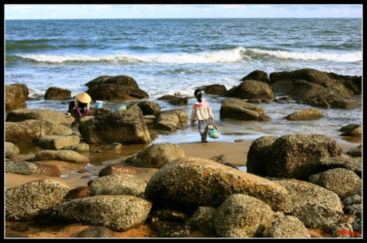 Bãi biển Long Hải nhìn từ LH Beach Resort Bãi biển Long Hải nhìn từ LH Beach Resort