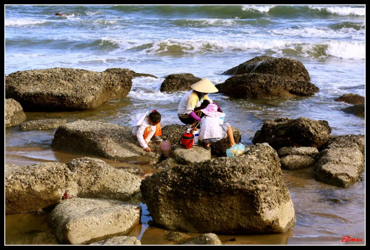Bãi biển Long Hải nhìn từ LH Beach Resort Bãi biển Long Hải nhìn từ LH Beach Resort
