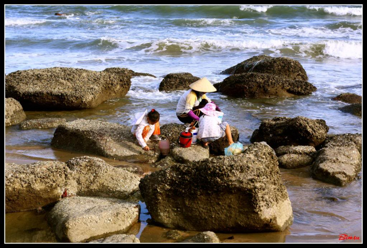 Bãi biển Long Hải nhìn từ LH Beach Resort