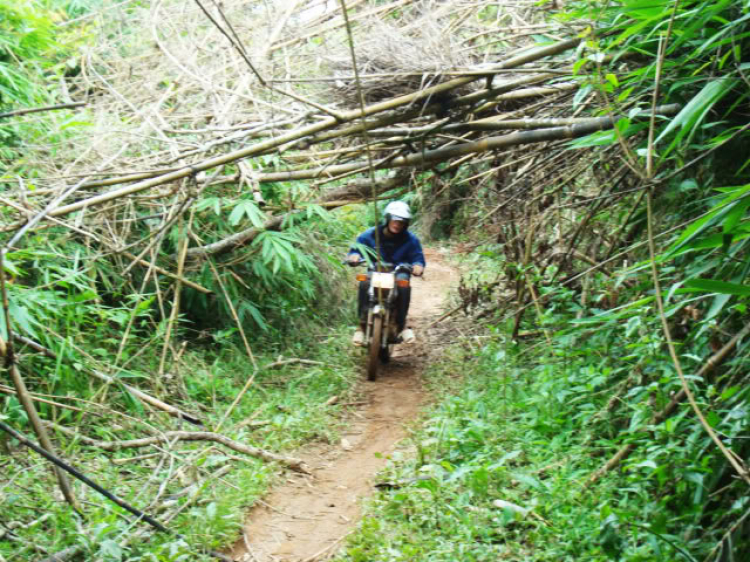 ĐÀ LẠT-ĐƯNG K' NỚ-QUỐC LỘ 27 ( 28/8/2010)! HÀNH TRÌNH CỦA WIN! ĐÀ LẠT-ĐƯNG K' NỚ-QUỐC LỘ 27 ( 28/8/2010)! HÀNH TRÌNH CỦA WIN!