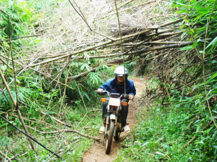 ĐÀ LẠT-ĐƯNG K' NỚ-QUỐC LỘ 27 ( 28/8/2010)! HÀNH TRÌNH CỦA WIN! ĐÀ LẠT-ĐƯNG K' NỚ-QUỐC LỘ 27 ( 28/8/2010)! HÀNH TRÌNH CỦA WIN!