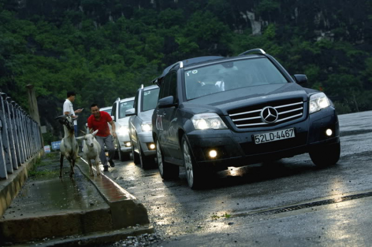 GLK du ngoạn Cúc Phương & ăn chơi nhảy múa Ninh Bình GLK du ngoạn Cúc Phương & ăn chơi nhảy múa Ninh Bình