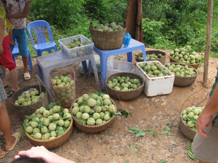 Đông-Tây Bắc.........on wheels