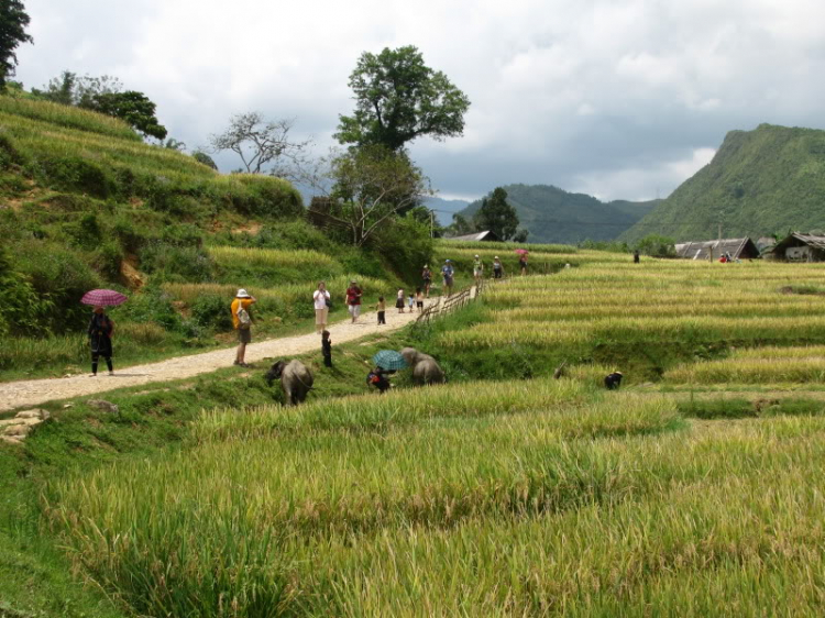 Đông-Tây Bắc.........on wheels