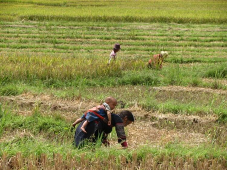 Đông-Tây Bắc.........on wheels