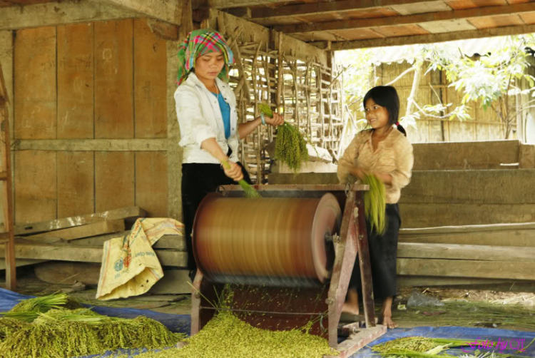 Những chặng đường du lịch-Ảnh-Ký sự. Những chặng đường du lịch-Ảnh-Ký sự.