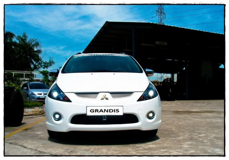 Màu trắng lên ngôi-White Grandis Màu trắng lên ngôi-White Grandis