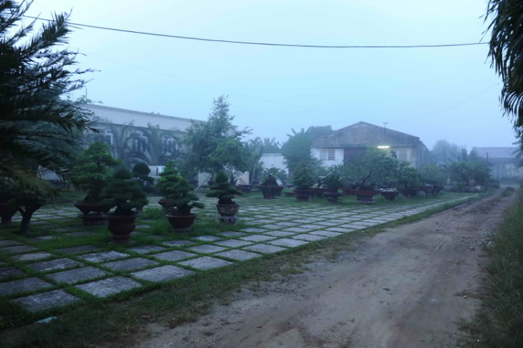 Hành trình Xuyên Việt và vượt qua tâm lũ Quảng Bình cùng GLK và CL 55 AMG! Hành trình Xuyên Việt và vượt qua tâm lũ Quảng Bình cùng GLK và CL 55 AMG!