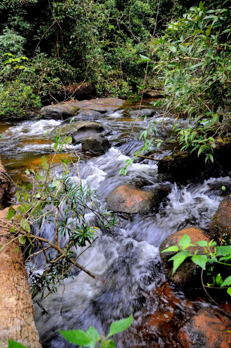 Ảnh hành trình off-road Ăn Bờ Ngủ Bụi - Đắc Nông!