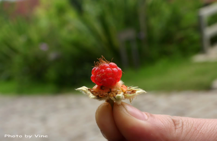 Thư giãn cùng nhiếp ảnh nghiệp dư. Thư giãn cùng nhiếp ảnh nghiệp dư.
