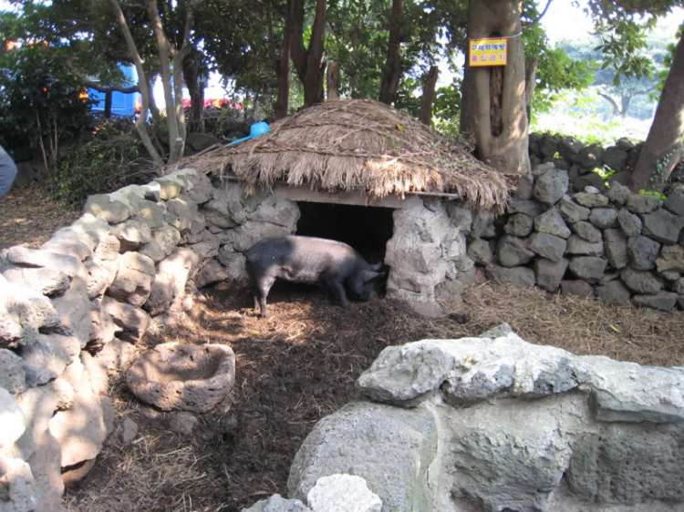 KHÁM PHÁ SEOUL - ĐẢO JEJU