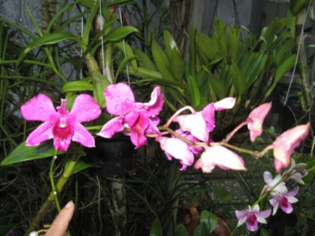 Mỗi ngày một chuyện.