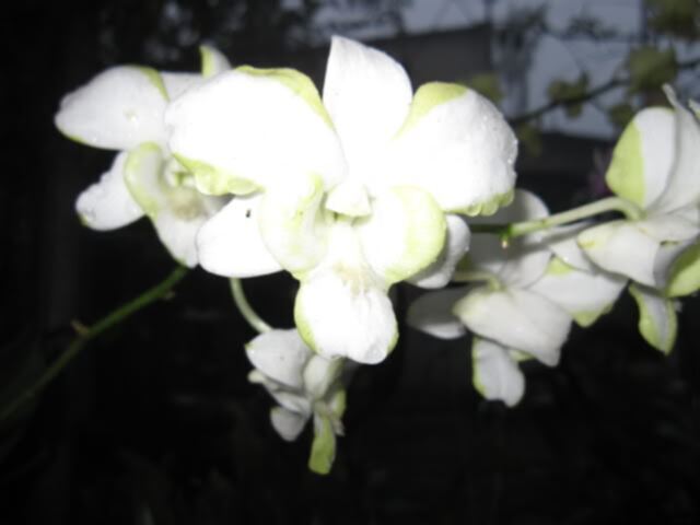 Mỗi ngày một chuyện.