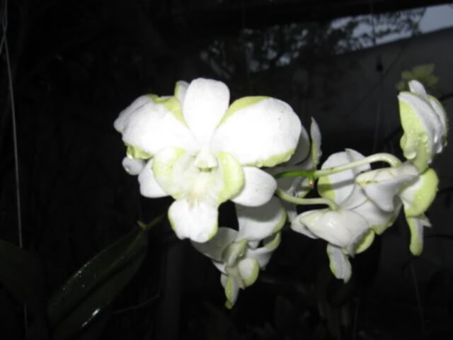 Mỗi ngày một chuyện.