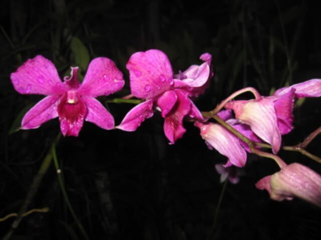 Mỗi ngày một chuyện.