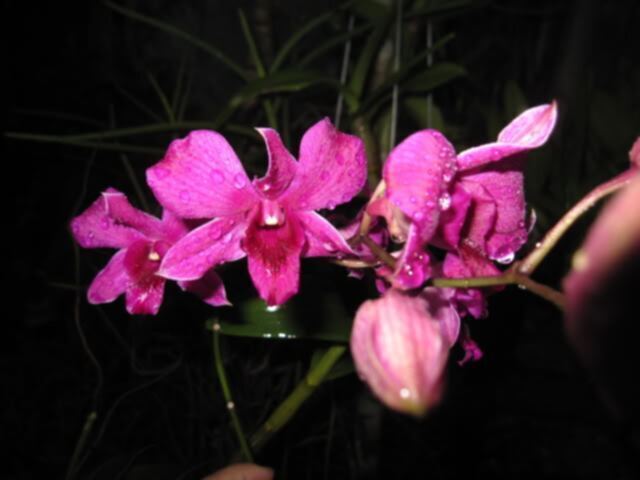 Mỗi ngày một chuyện.