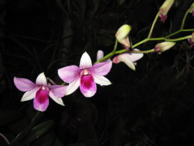 Mỗi ngày một chuyện.