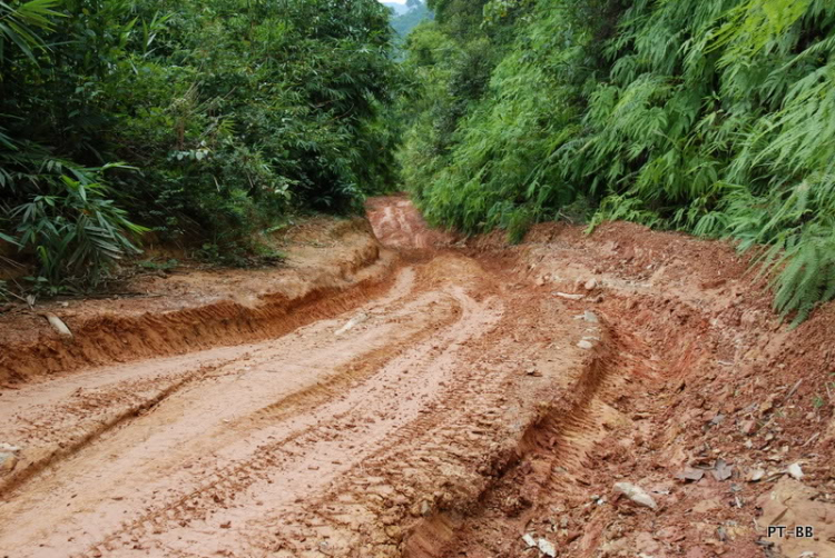 Đoàn xe JSG offroad đỉnh cao cung đường Da Pal - Bảo Lộc - dốc 40 độ - QL 27- ĐL Đoàn xe JSG offroad đỉnh cao cung đường Da Pal - Bảo Lộc - dốc 40 độ - QL 27- ĐL