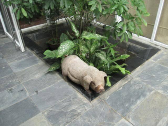 Hà Nội ơi! Hà Nội ơi!