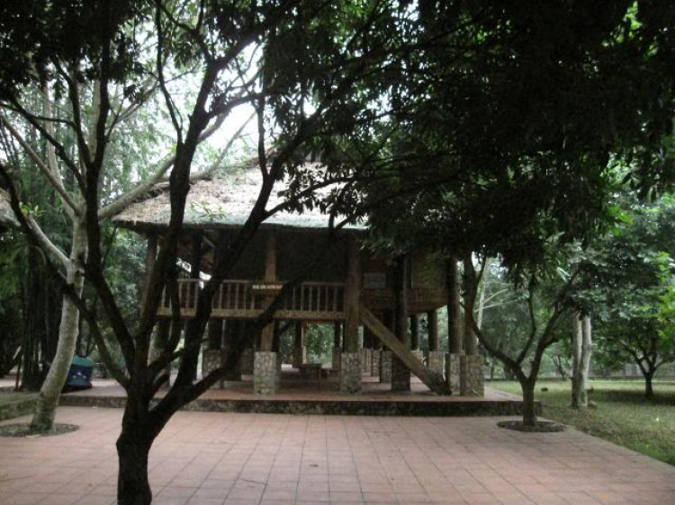Hà Nội ơi! Hà Nội ơi!