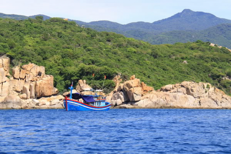 Vịnh Vĩnh Hy, đầm Thị Nại Vịnh Vĩnh Hy, đầm Thị Nại