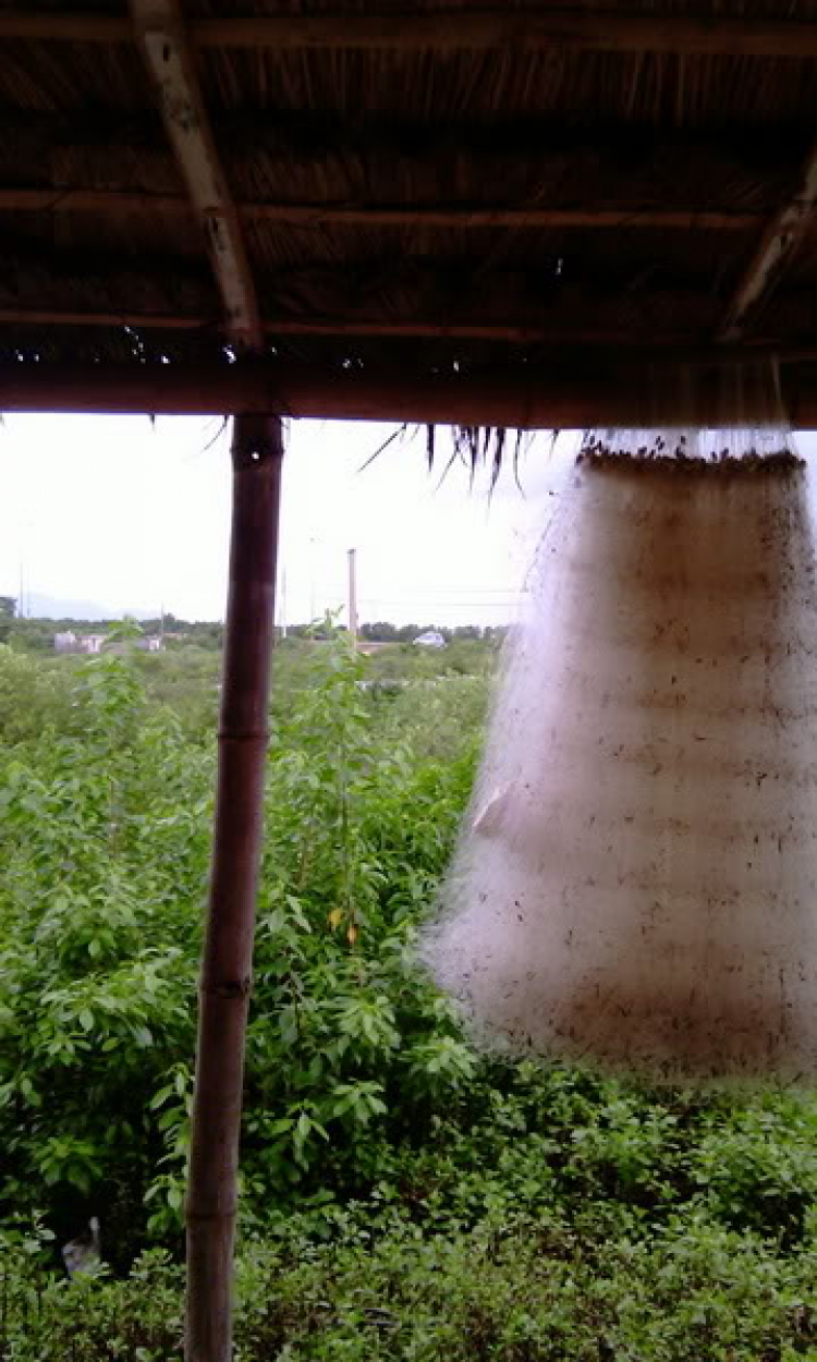 Vịnh Vĩnh Hy, đầm Thị Nại Vịnh Vĩnh Hy, đầm Thị Nại