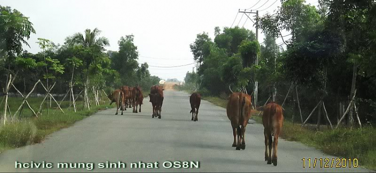 Hình ảnh OS8Y XNL Hình ảnh OS8Y XNL