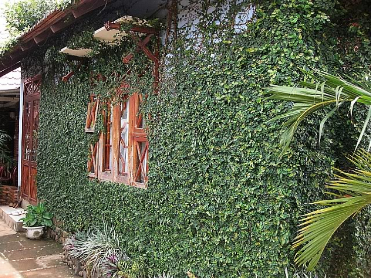 NHẬT KÝ ẢNH CHIẾN DỊCH BMT- NHA TRANG NHẬT KÝ ẢNH CHIẾN DỊCH BMT- NHA TRANG