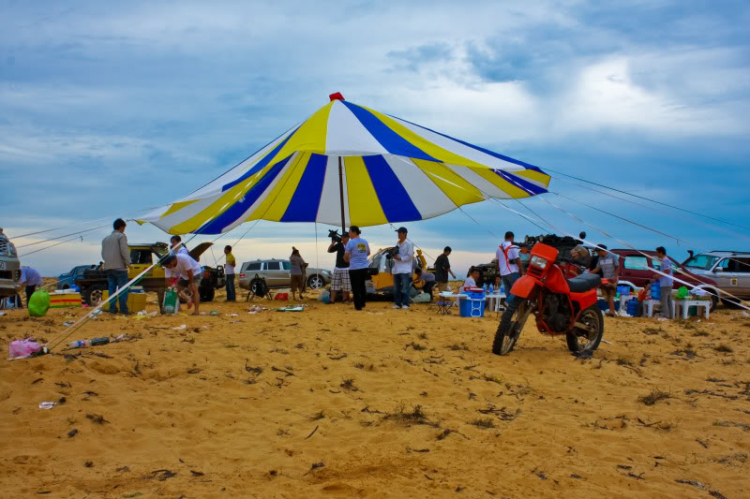 FFC trên từng centimet.....