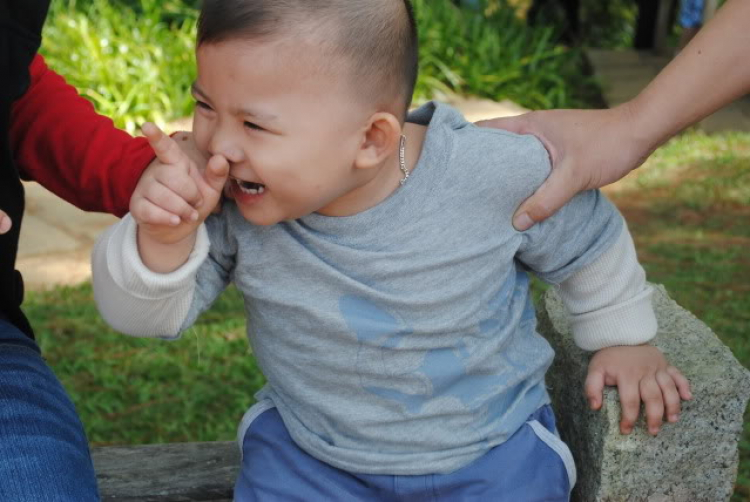 Hình ảnh TFCers mừng Giáng Sinh tại Đà Lạt