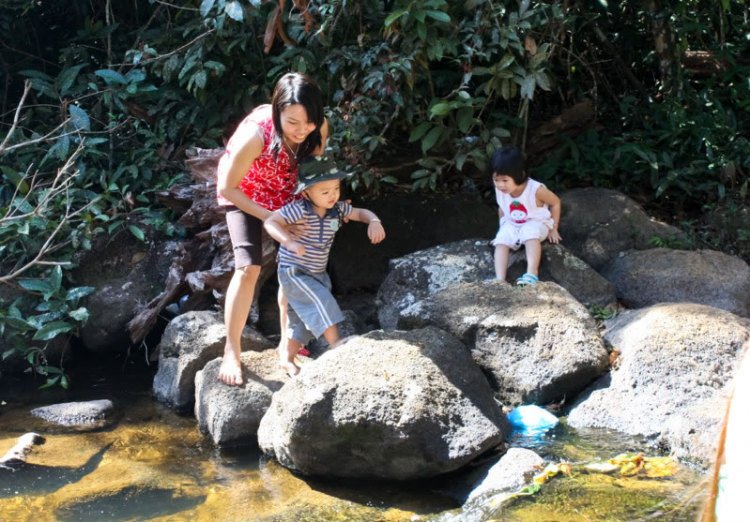 FFC, NGÀY ĐẦU NĂM MỚI Ở BUÔN MA THUỘT. FFC, NGÀY ĐẦU NĂM MỚI Ở BUÔN MA THUỘT.
