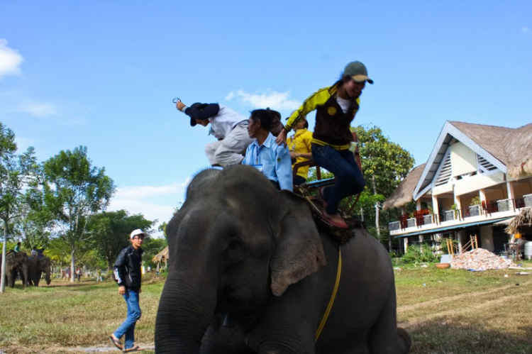 FFC, NGÀY ĐẦU NĂM MỚI Ở BUÔN MA THUỘT.