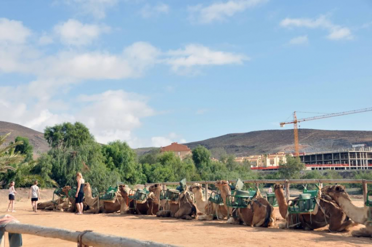 Fuerteventura, Lanzarote: hai trong mười hòn đảo đẹp nhất châu Âu.