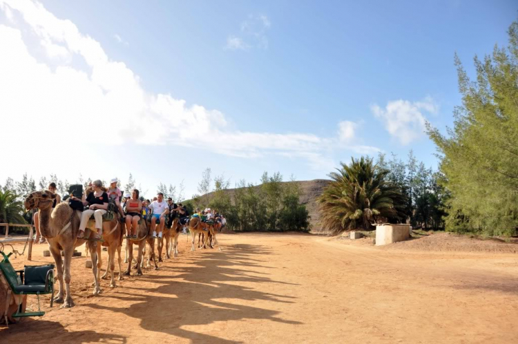 Fuerteventura, Lanzarote: hai trong mười hòn đảo đẹp nhất châu Âu.