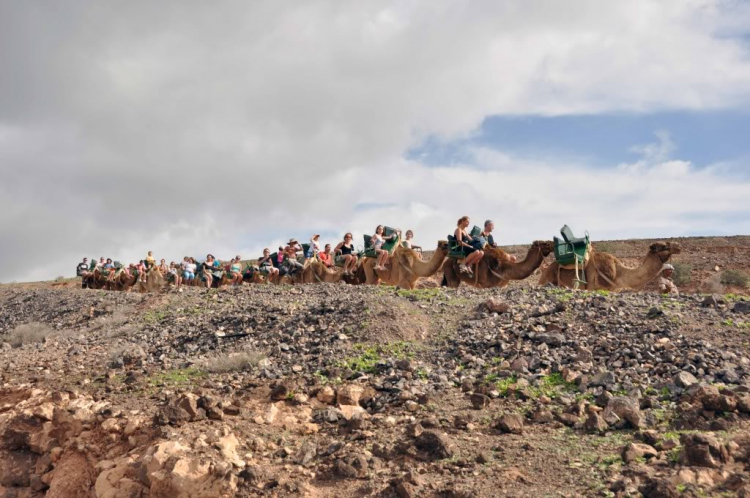 Fuerteventura, Lanzarote: hai trong mười hòn đảo đẹp nhất châu Âu.