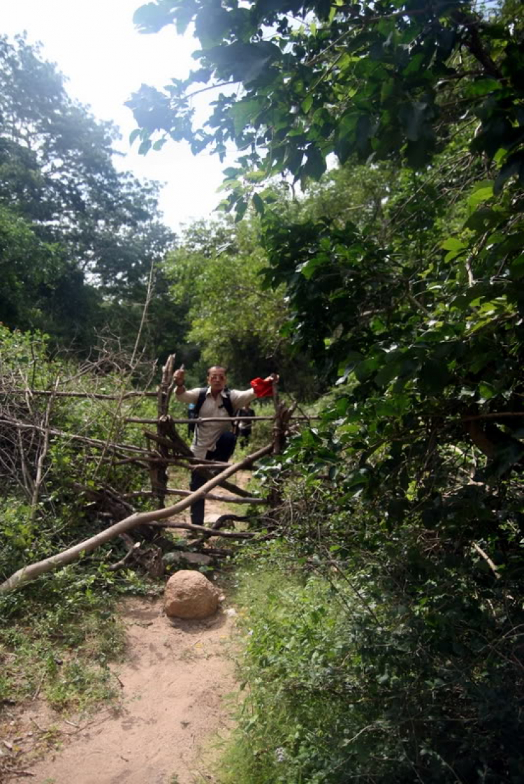 NÚI CHÚA - THẤT ĐỈNH