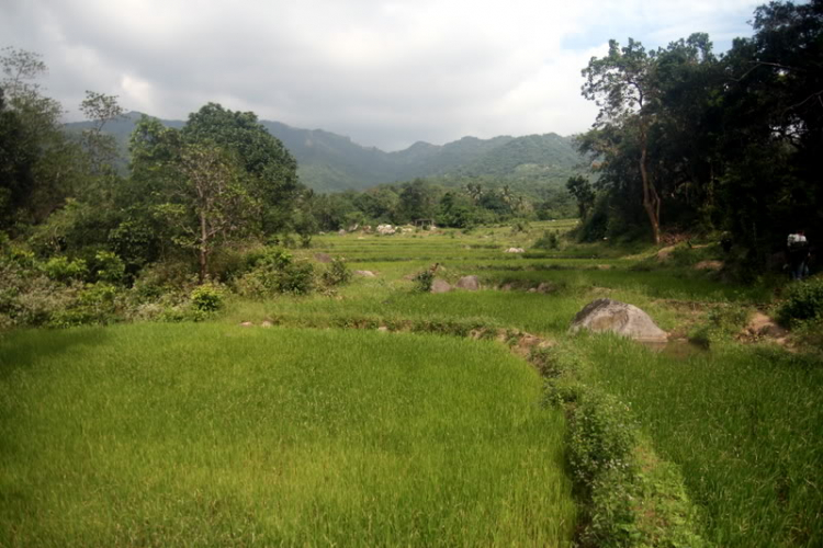 NÚI CHÚA - THẤT ĐỈNH