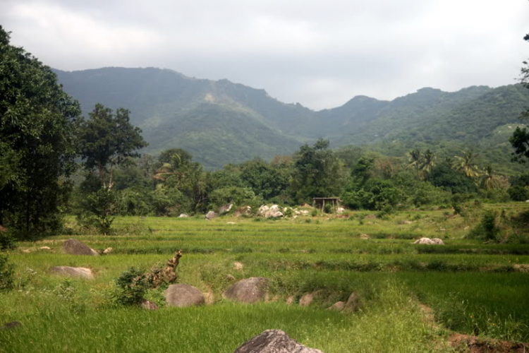 NÚI CHÚA - THẤT ĐỈNH NÚI CHÚA - THẤT ĐỈNH