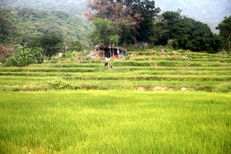 NÚI CHÚA - THẤT ĐỈNH