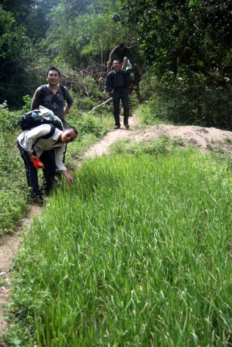 NÚI CHÚA - THẤT ĐỈNH