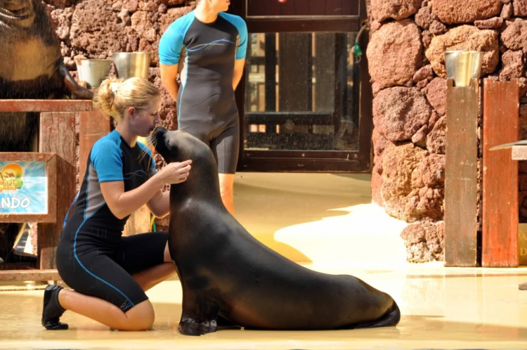 Fuerteventura, Lanzarote: hai trong mười hòn đảo đẹp nhất châu Âu.